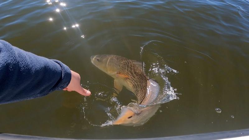 The Most Realistic Fishing Lures To Catch More Fish This Season