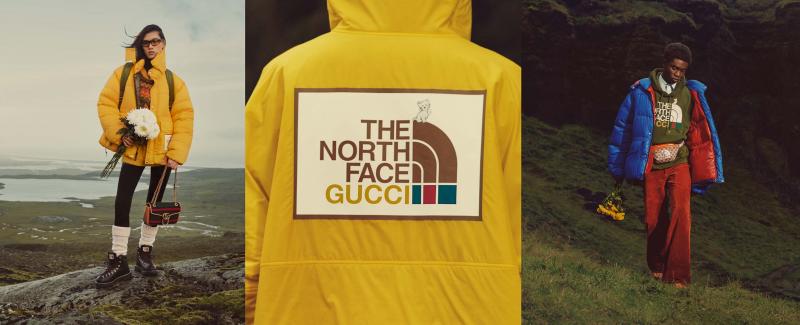 The North Face Gotham Parka For Women: 15 Things You Should Know Before Buying This Winter