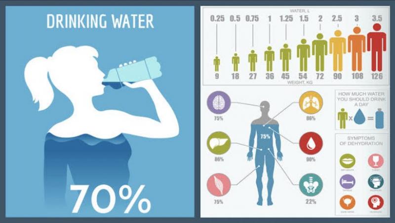 The Perfect Amount of Water To Drink Daily: Why You Should Use a 1-liter Water Bottle