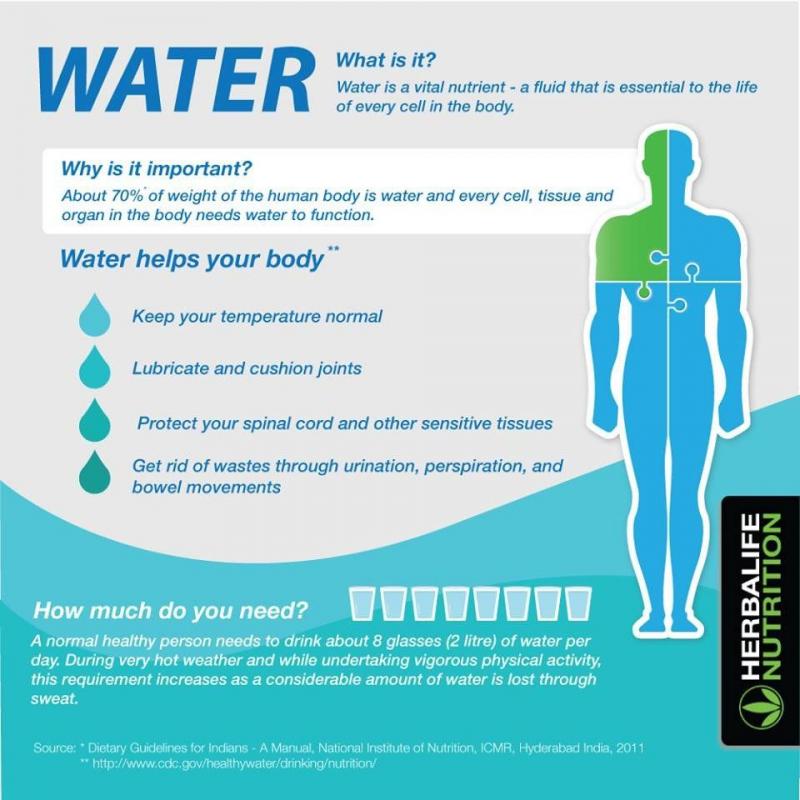 The Perfect Amount of Water To Drink Daily: Why You Should Use a 1-liter Water Bottle