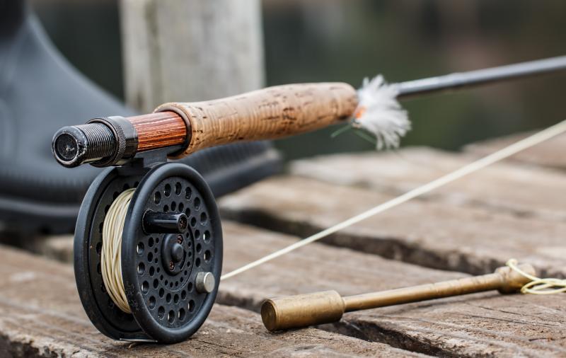 The Top Budget Fishing Rod and Reels for 2023: How to Pick the Perfect Affordable Fishing Combo