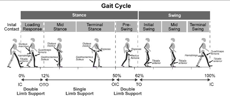 The Top Gait Lacrosse Gear and Equipment Review