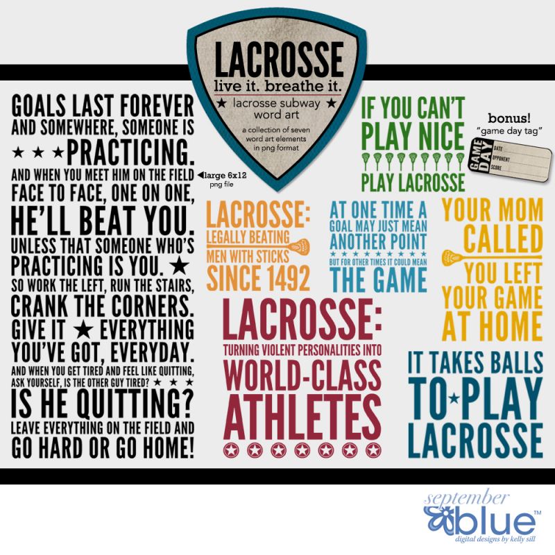 The Ultimate Guide to Choosing the Best Box Lacrosse Goals