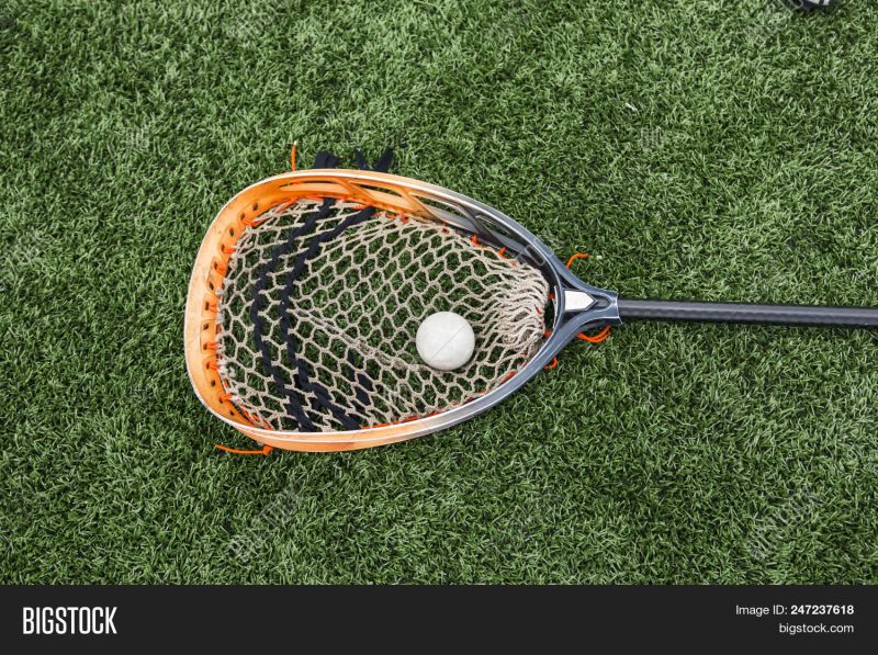 The Ultimate Guide to Choosing the Best Lacrosse Goalie Mesh