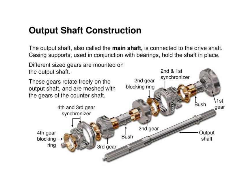 The Ultimate Guide to the True Comp 40 Lacrosse Shaft