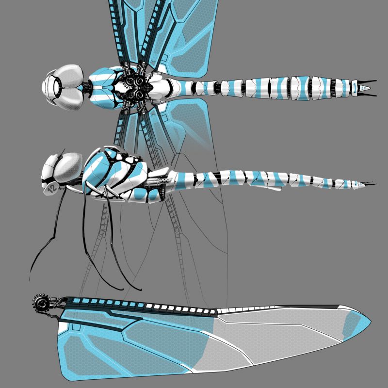 This Years TopRated Dragonfly And Dragonfly Pro Lacrosse Shafts