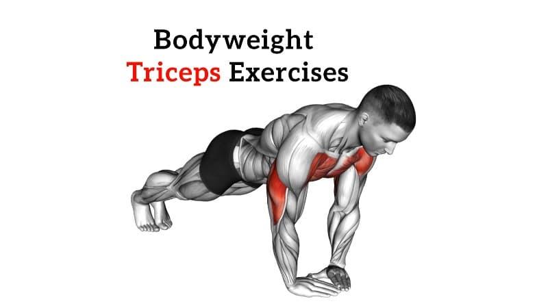 Toned Triceps At Home This Year. Here Are The 15 Best Triceps Exercises To Do At Home