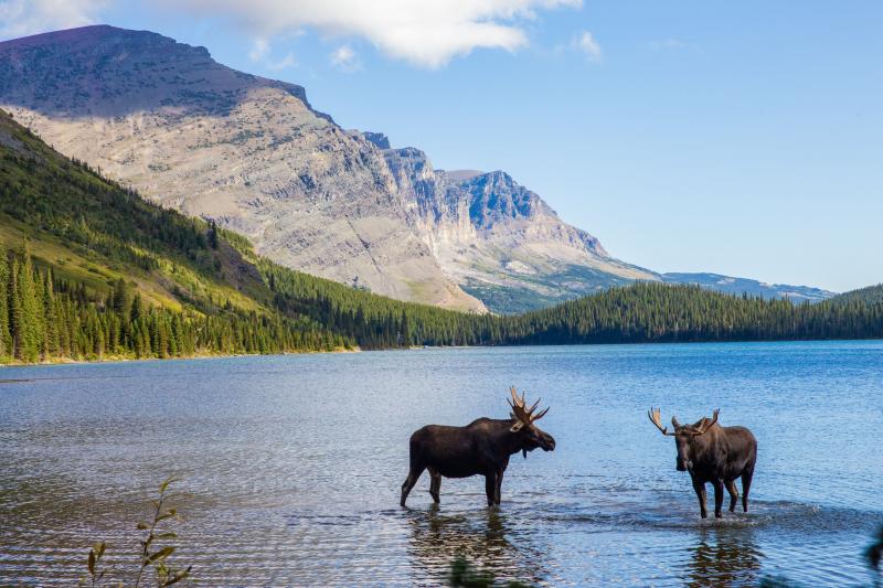 Top American National Parks in 2023: Discover the 15 Most Scenic Destinations in the USA