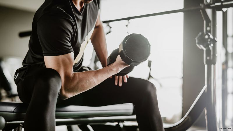 Top Benefits of Sklz Weighted Vests for Fitness Strength Training and Endurance