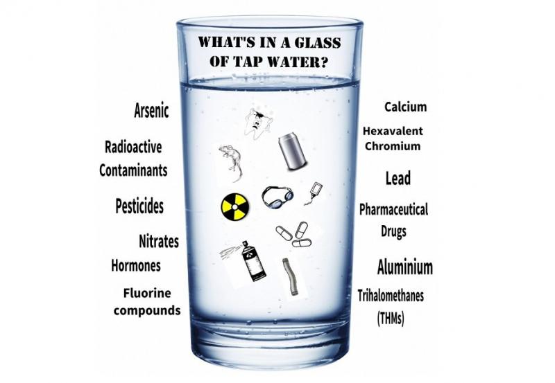 Toxic Plastic in Water Bottles: Are You Drinking Poison