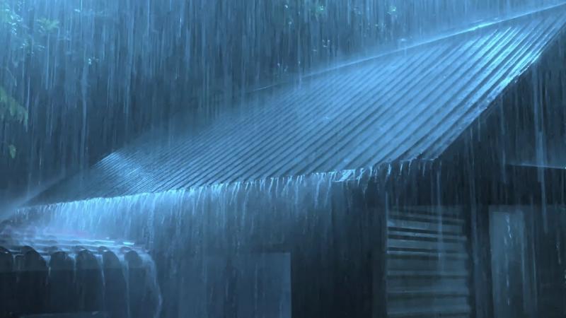 Track Rainfall From Home Easily: The Best Rain Logger Apps in 2023