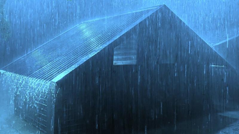 Track Rainfall From Home Easily: The Best Rain Logger Apps in 2023