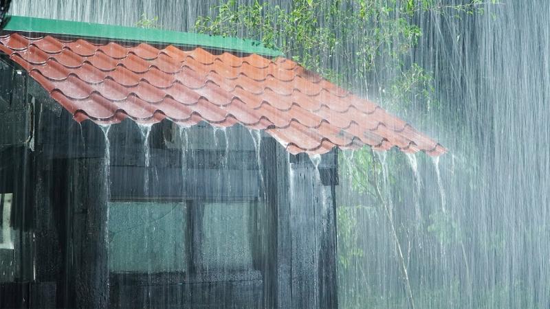 Track Rainfall From Home Easily: The Best Rain Logger Apps in 2023