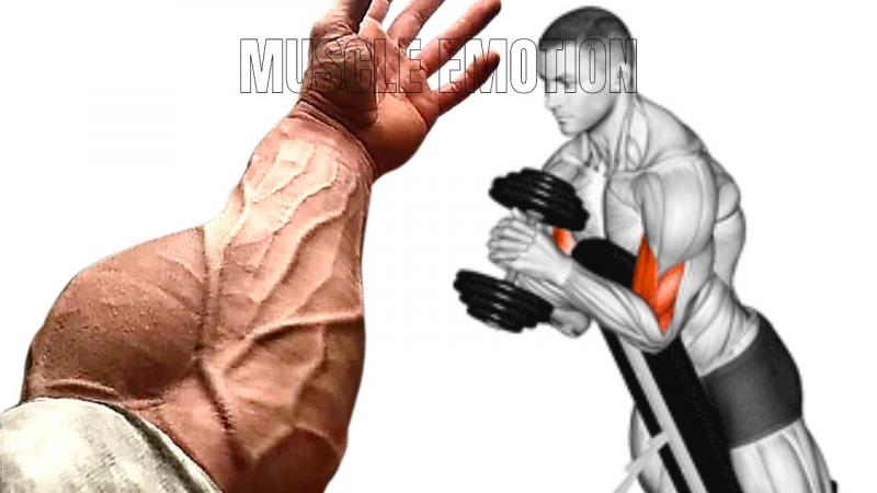 Transform Your Forearms Fast with These 15 Best Hand Grips: Discover the Secret to Popeye Arms