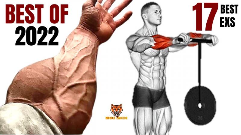 Transform Your Forearms Fast with These 15 Best Hand Grips: Discover the Secret to Popeye Arms