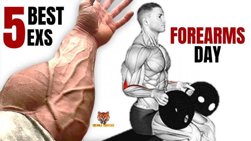 Transform Your Forearms Fast with These 15 Best Hand Grips: Discover the Secret to Popeye Arms