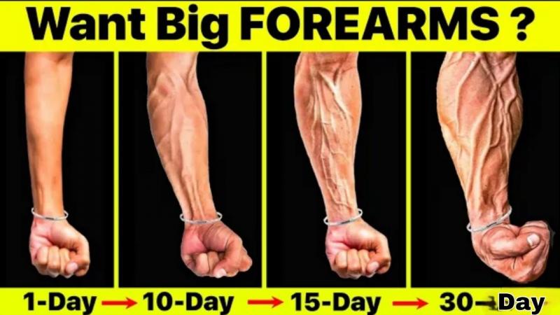 Transform Your Forearms Fast with These 15 Best Hand Grips: Discover the Secret to Popeye Arms