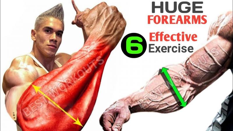 Transform Your Forearms Fast with These 15 Best Hand Grips: Discover the Secret to Popeye Arms