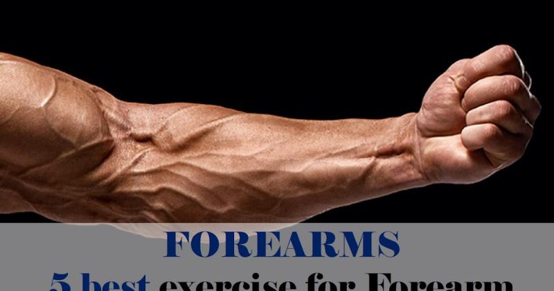 Transform Your Forearms Fast with These 15 Best Hand Grips: Discover the Secret to Popeye Arms