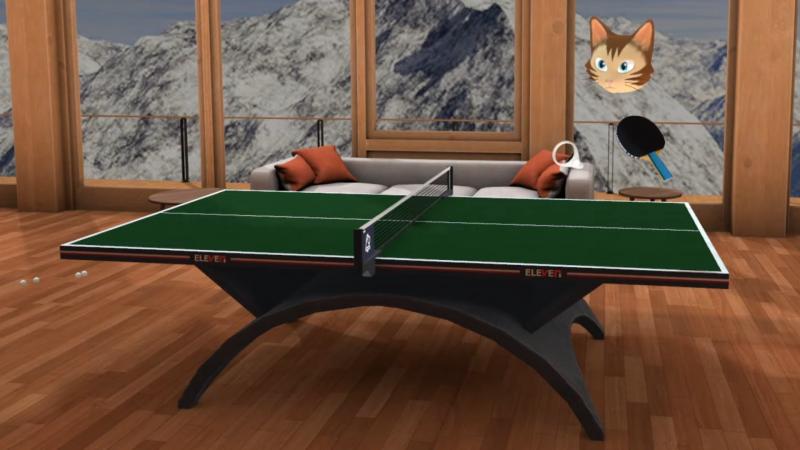 Transform Your Game Room: The 15 Best Table Tennis Table Covers