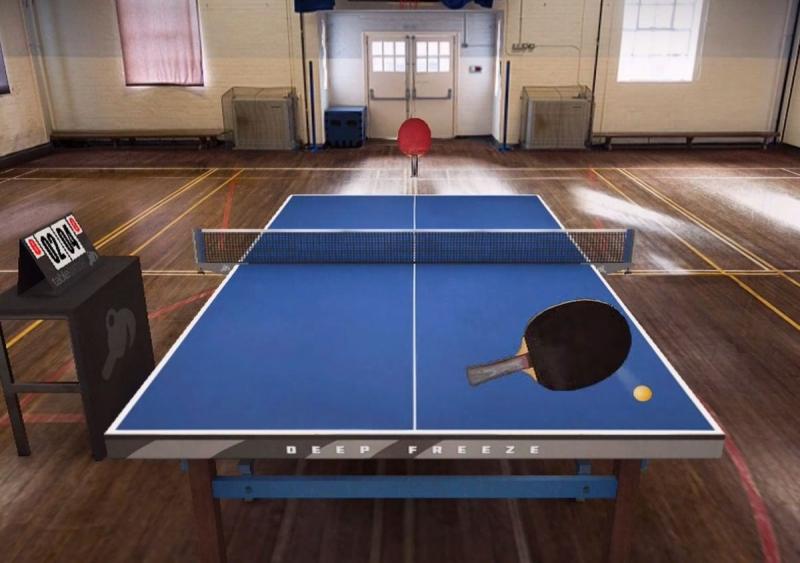 Transform Your Game Room: The 15 Best Table Tennis Table Covers