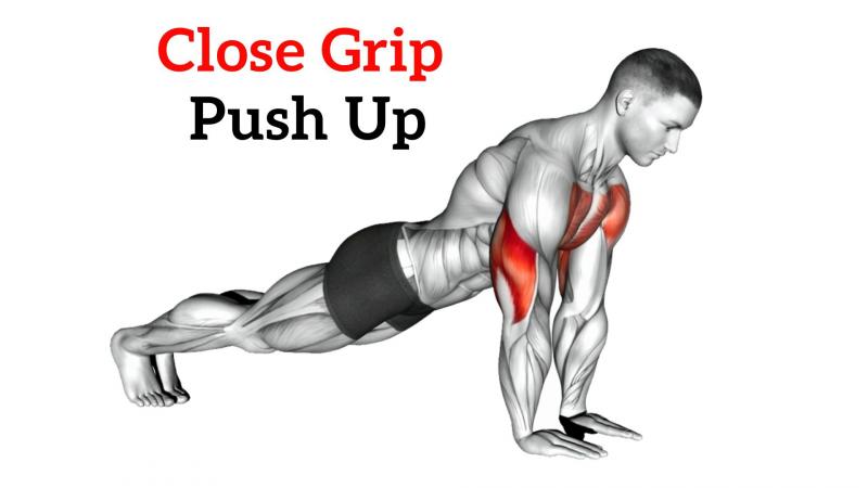 Transform Your Pushups And See Results Fast: The Perfect Pushup Review You Need