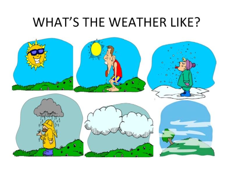 Uncover the Secrets to Accurate Weather Forecasting: The Wether Pro Guide You Need