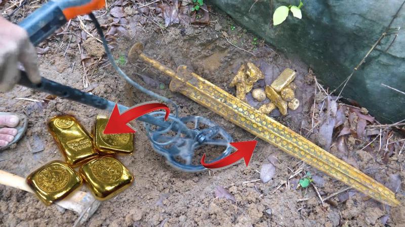 Uncovering Treasure with the Discovery 1100: 5 Insider Tips for Metal Detector Novices