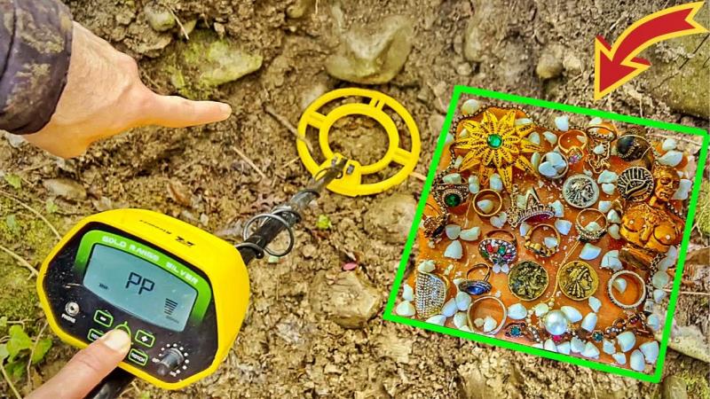 Uncovering Treasure with the Discovery 1100: 5 Insider Tips for Metal Detector Novices