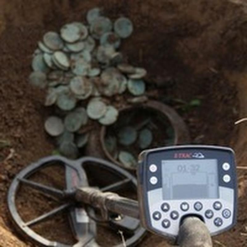 Uncovering Treasure with the Discovery 1100: 5 Insider Tips for Metal Detector Novices