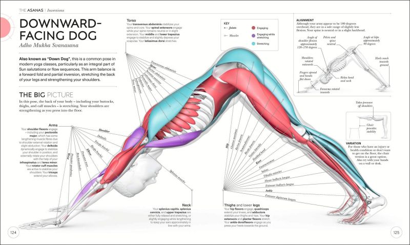 Understanding the Epoch Purpose of 15 Degree Head Rotation