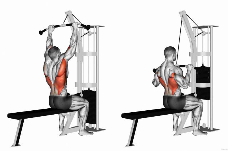 Unlocking Trapezius and Back Strength: Transform Your Physique With a Powertec Lat Pulldown Machine