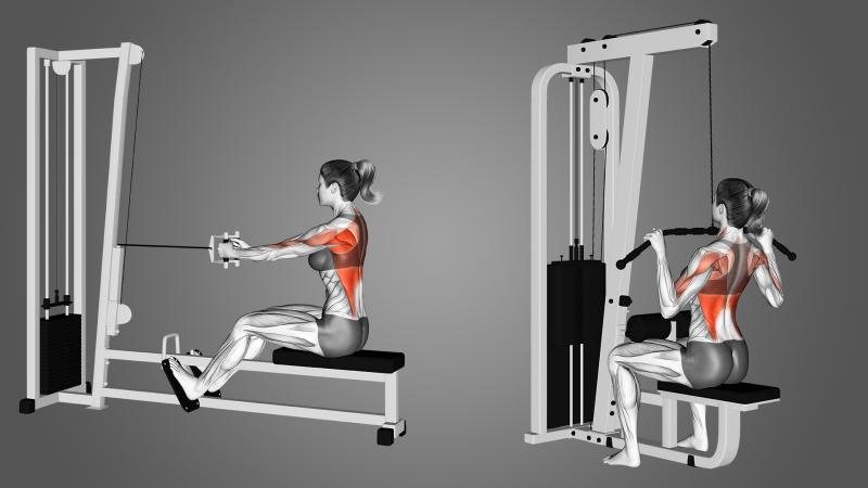 Unlocking Trapezius and Back Strength: Transform Your Physique With a Powertec Lat Pulldown Machine