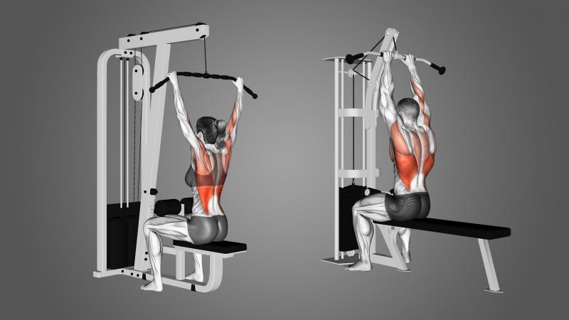 Unlocking Trapezius and Back Strength: Transform Your Physique With a Powertec Lat Pulldown Machine