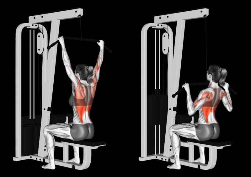 Unlocking Trapezius and Back Strength: Transform Your Physique With a Powertec Lat Pulldown Machine