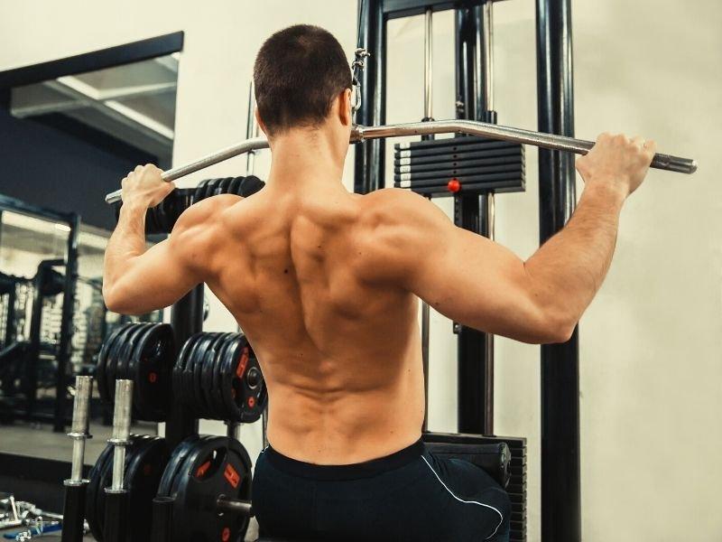 Unlocking Trapezius and Back Strength: Transform Your Physique With a Powertec Lat Pulldown Machine