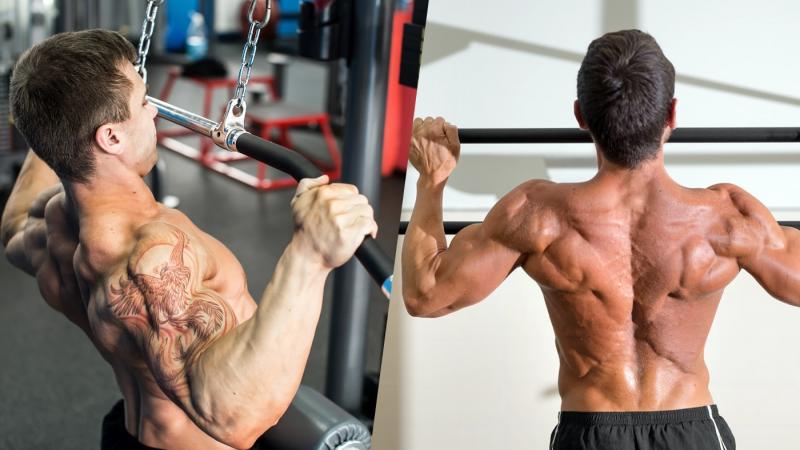 Unlocking Trapezius and Back Strength: Transform Your Physique With a Powertec Lat Pulldown Machine