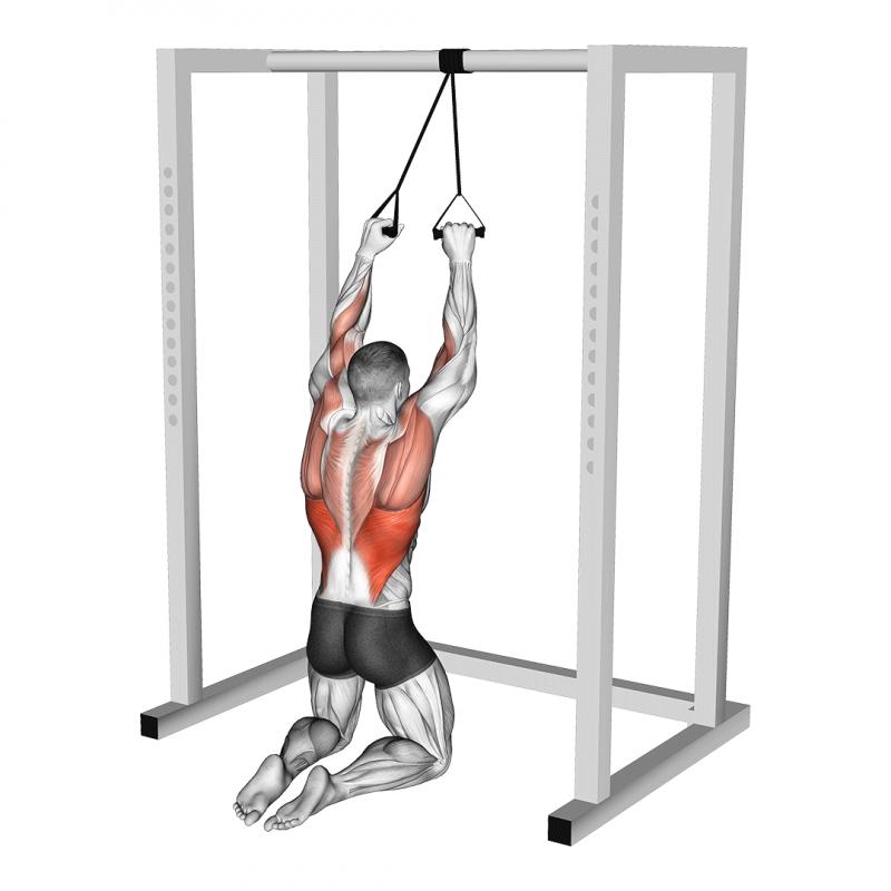 Unlocking Trapezius and Back Strength: Transform Your Physique With a Powertec Lat Pulldown Machine