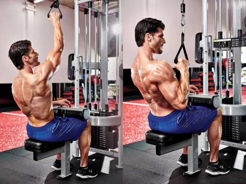 Unlocking Trapezius and Back Strength: Transform Your Physique With a Powertec Lat Pulldown Machine