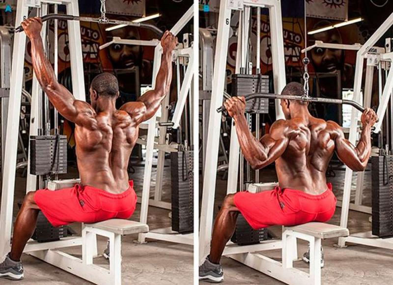 Unlocking Trapezius and Back Strength: Transform Your Physique With a Powertec Lat Pulldown Machine