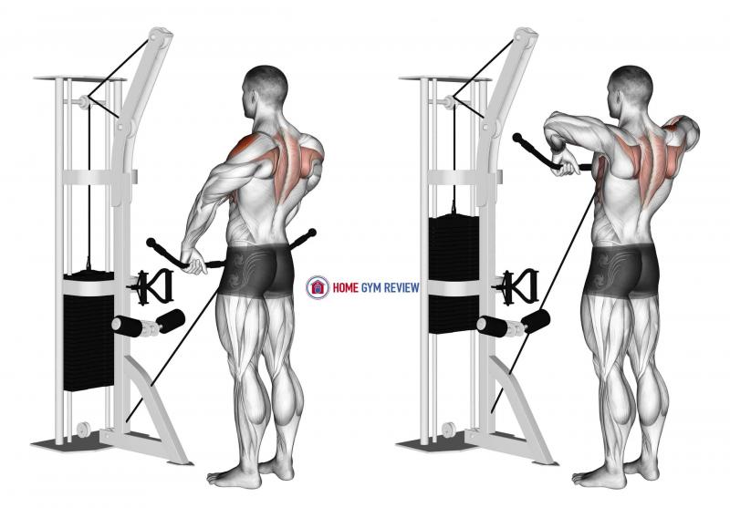 Unlocking Trapezius and Back Strength: Transform Your Physique With a Powertec Lat Pulldown Machine