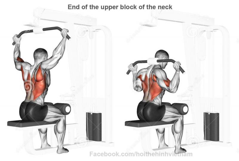 Unlocking Trapezius and Back Strength: Transform Your Physique With a Powertec Lat Pulldown Machine