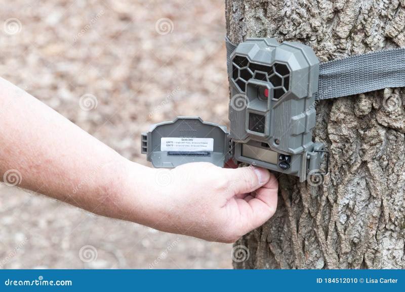 Use These Insider Tips to Master the Link Micro 4G Trail Camera. Discover How to Get the Most Out of This Cutting-Edge Gadget