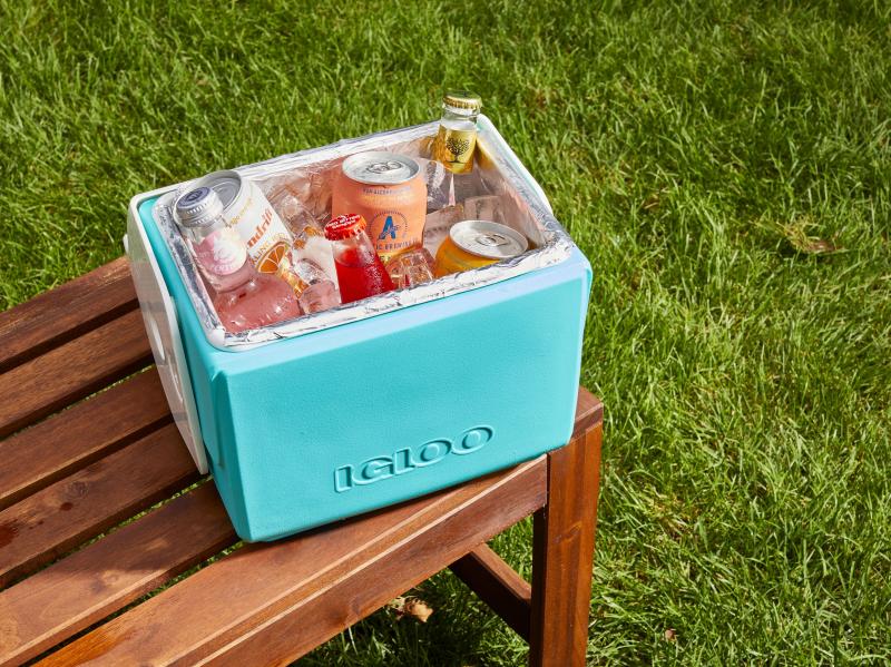 Want a Cheap Ice Chest: 15 Surprising Things to Know Before You Buy Coolers