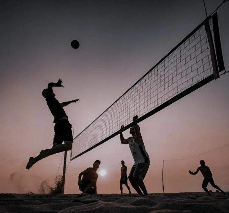 Want a Fun Backyard Game This Summer. Consider These Volleyball Nets