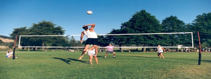 Want a Fun Backyard Game This Summer. Consider These Volleyball Nets