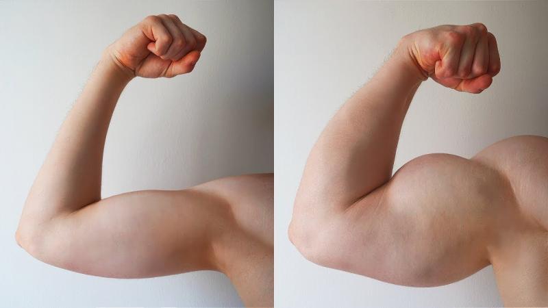 Want Bigger Arms Fast. : Bicep Pads Transform Skinny Arms in Weeks