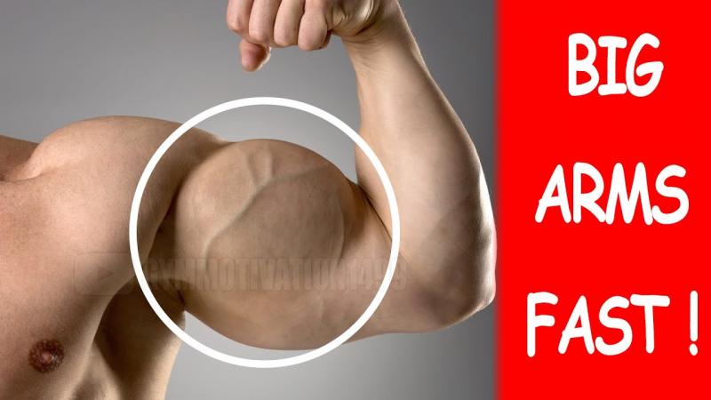 Want Bigger Arms Fast. : Bicep Pads Transform Skinny Arms in Weeks