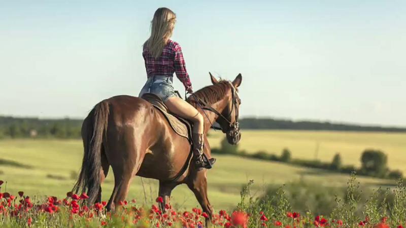 Want The Best Bra For Horse Riding. Find Out Here