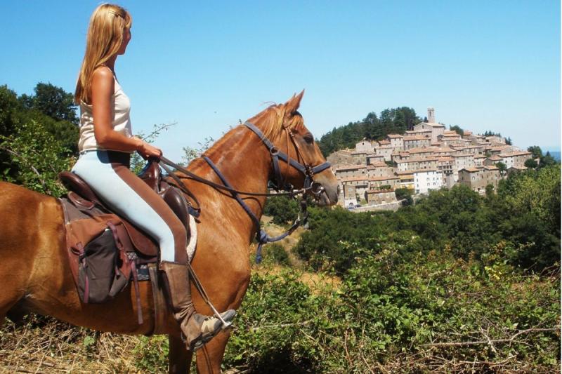 Want The Best Bra For Horse Riding. Find Out Here